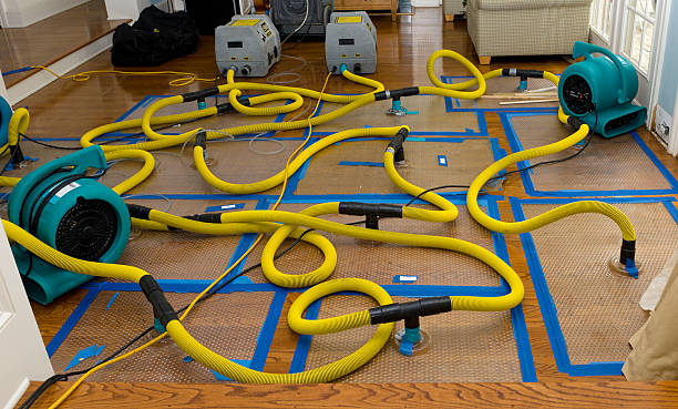 Professional Flood Damage Restoration technician working in Dresden, OH